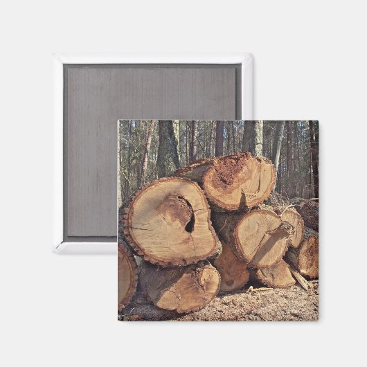 木磁石 マグネット (正面/裏面)