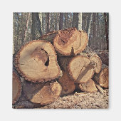 木磁石 マグネット (正面)