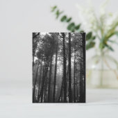 木立はがき中のモノクロミスト ポストカード (スタンド正面)