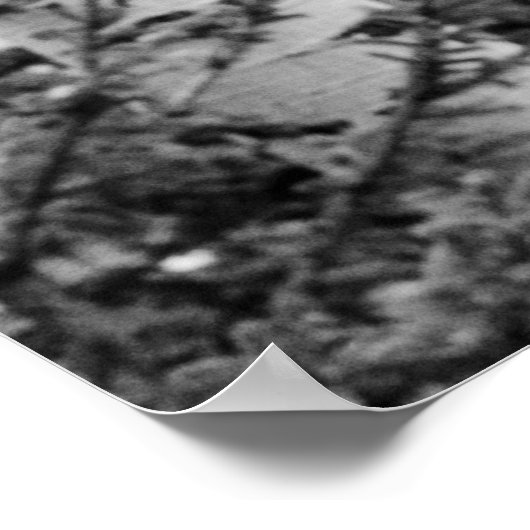 木立ポスター ポスター (角)