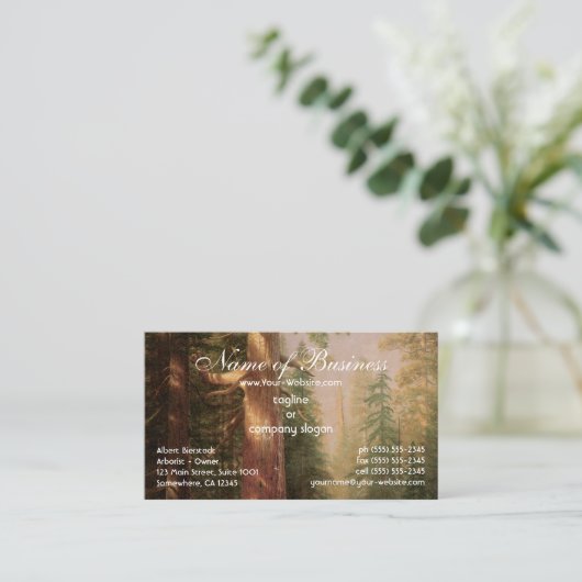 木素晴らし々,マリポサグローブ,カリフォルニア,ビエルシュタット 名刺 (スタンド正面)