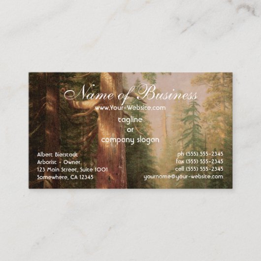 木素晴らし々,マリポサグローブ,カリフォルニア,ビエルシュタット 名刺 (正面)
