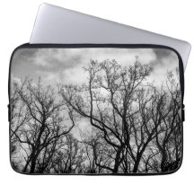 木素晴らしの波