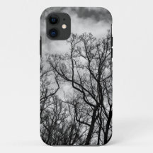 木素晴らしの波