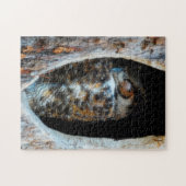 木素晴らしの空洞で眠る角のフクロウ ジグソーパズル (横)