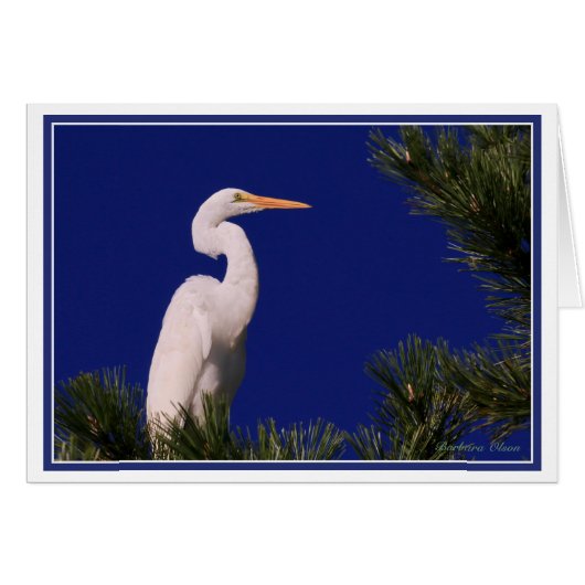 木素晴らしの緑： (正面横)