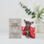 木素朴と雪の結晶クリスマスドッグ写真 ポストカード (スタンド正面)