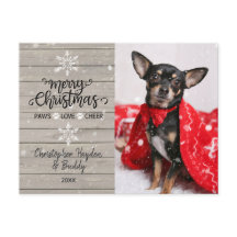 木素朴と雪の結晶クリスマスドッグ写真