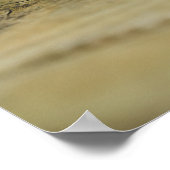 木素朴材自然スチルライフ写真のピネコン ポスター (角)