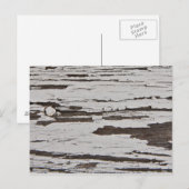 木絵を描に古い ポストカード (正面/裏面)