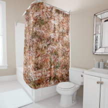 木綿又は地中の岩の下の雨林