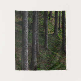 木苔 タペストリー