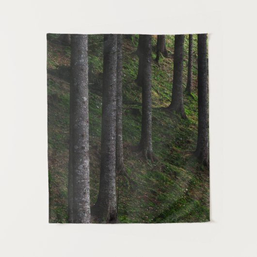 木苔 タペストリー (正面)
