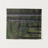 木苔 タペストリー (正面(横))