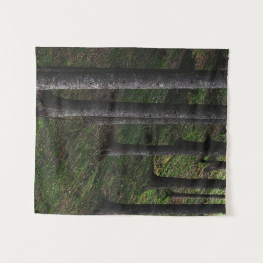 木苔 タペストリー (正面(横))