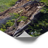 木落ちたと山の野草 ポスター (角)