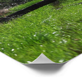 木落ちた写真ポスター ポスター (角)