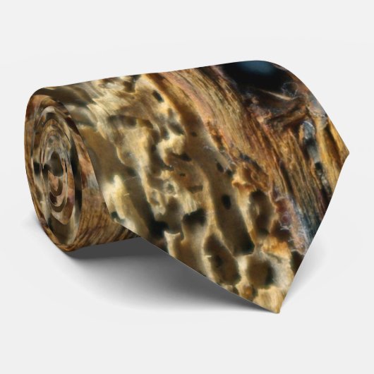 木虫 ネクタイ (ロール)