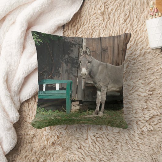木製のグリーンベンチの隣に愛らしいロバ クッション (ブランケット)