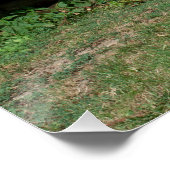 木製のグリーンベンチの隣に愛らしいロバ ポスター (コーナー)