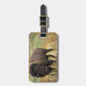 木製のバイソンの荷物のラベル ラゲッジタグ (正面縦)