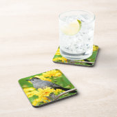 木製のフェンスの灰色のキャットバード コースター (右側)