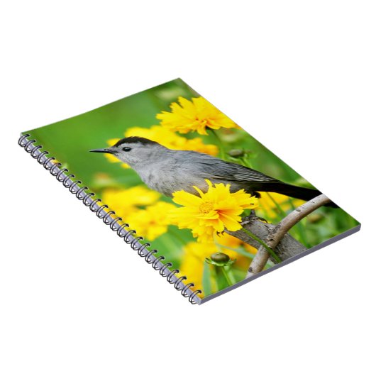 木製のフェンスの灰色のキャットバード ノートブック (右側)