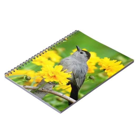 木製のフェンスの灰色のキャットバード ノートブック (左側)