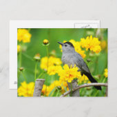 木製のフェンスの灰色のキャットバード ポストカード (正面/裏面)