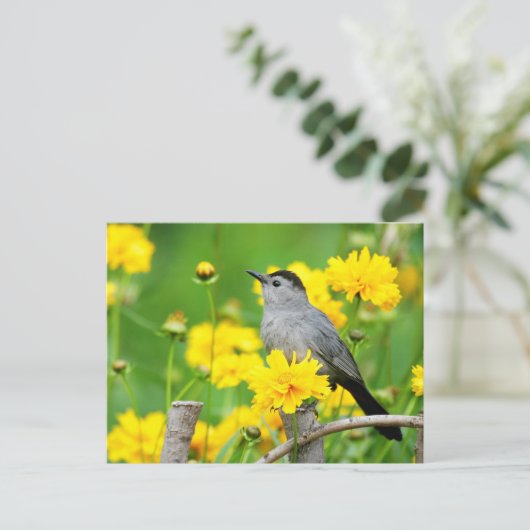 木製のフェンスの灰色のキャットバード ポストカード (スタンド正面)