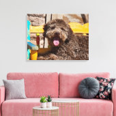 木製のベンチに横たわるラゴットロマグノロ キャンバスプリント (インサイチュ (リビング))