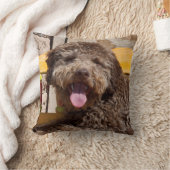 木製のベンチに横たわるラゴットロマグノロ クッション (ブランケット)