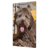 木製のベンチに横たわるラゴットロマグノロ クリップボード (左)