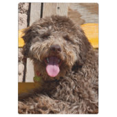 木製のベンチに横たわるラゴットロマグノロ クリップボード (裏面)