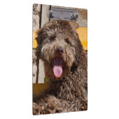 木製のベンチに横たわるラゴットロマグノロ クリップボード (右)