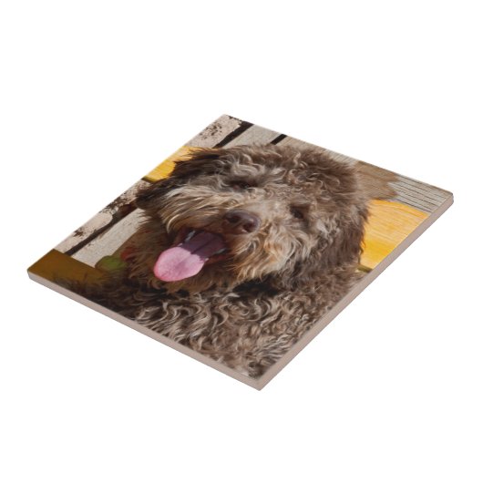 木製のベンチに横たわるラゴットロマグノロ タイル (側面)