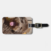 木製のベンチに横たわるラゴットロマグノロ ラゲッジタグ (正面横)