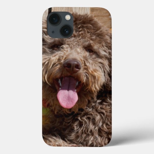 木製のベンチに横たわるラゴット・ロマニョーロ Case-Mate iPhoneケース (裏面)