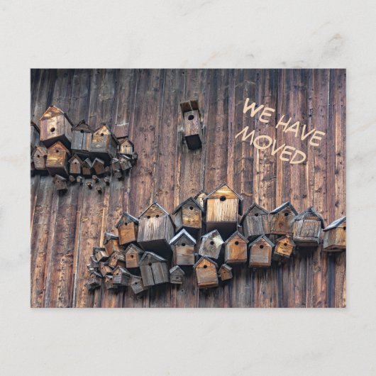木製の壁に鳥の家、我々が移動したおもしろい ポストカード (正面)