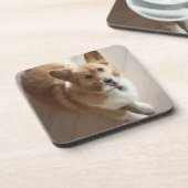 木製の床にあっているウェールズのペンブロークのコーギー犬 コースター (左側)