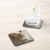 木製の床にあっているウェールズのペンブロークのコーギー犬 コースター (右側)