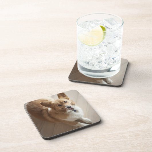 木製の床にあっているウェールズのペンブロークのコーギー犬 コースター (右側)