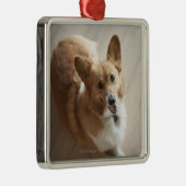 木製の床にあっているウェールズのペンブロークのコーギー犬 メタルオーナメント (右)