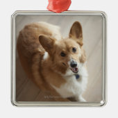 木製の床にあっているウェールズのペンブロークのコーギー犬 メタルオーナメント (正面)