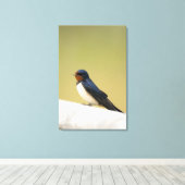 木製の棚にツバメ キャンバスプリント (インサイチュ (ウッドフロア))