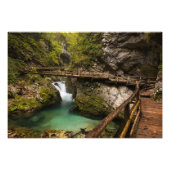 木製の歩道を介してヴィンガル渓谷キャニオン フォトプリント (正面)
