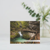 木製の歩道を介してヴィンガル渓谷キャニオン ポストカード (スタンド正面)