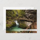 木製の歩道を介してヴィンガル渓谷キャニオン ポストカード (正面/裏面)