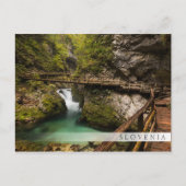 木製の歩道を介してヴィンガル渓谷キャニオン ポストカード (正面)