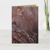 木製の涙 カード (正面)